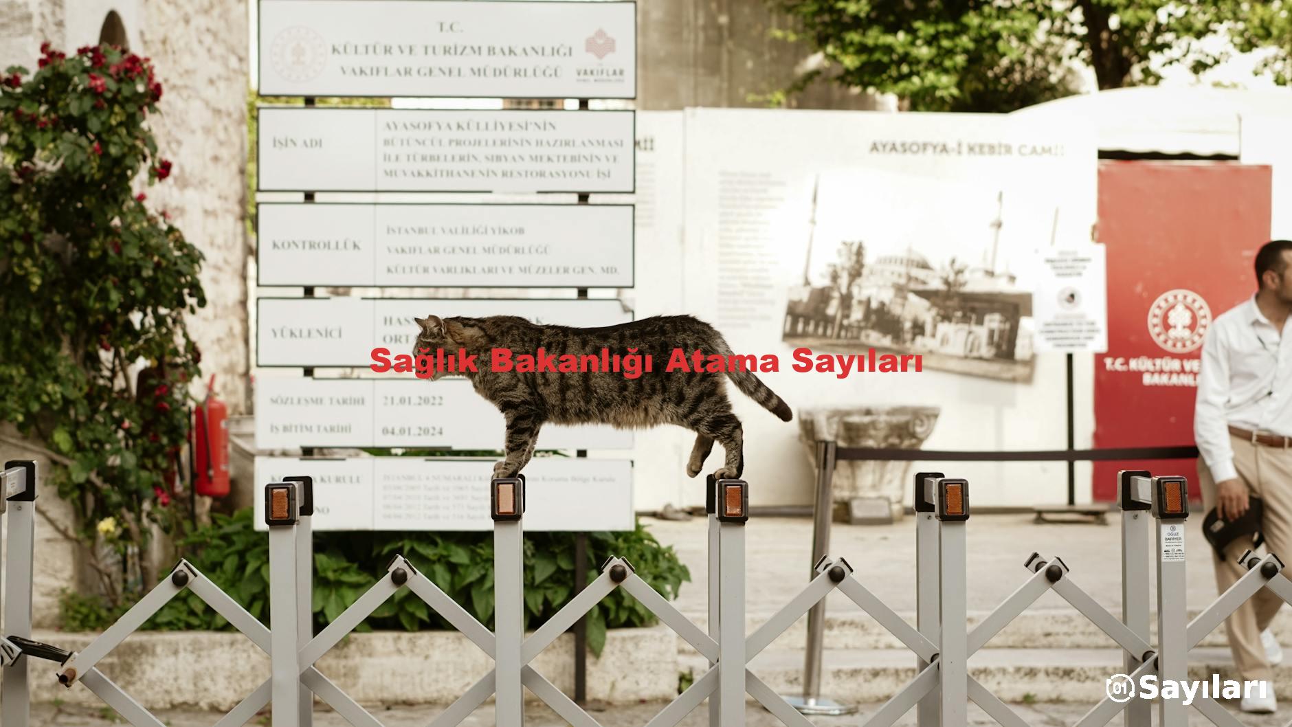 Sağlık Bakanlığı Atama Sayıları