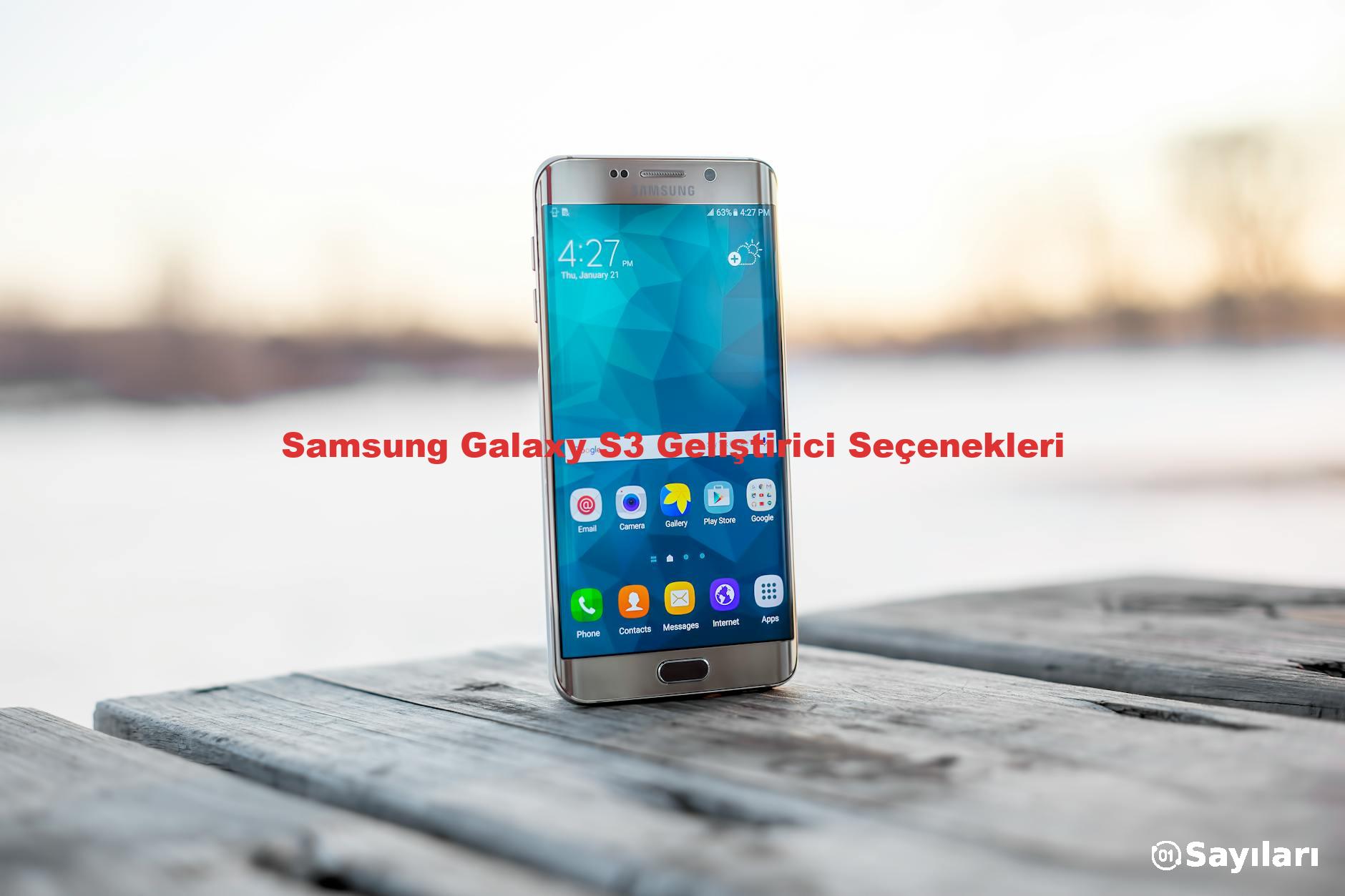 Samsung Galaxy S3 Geliştirici Seçenekleri