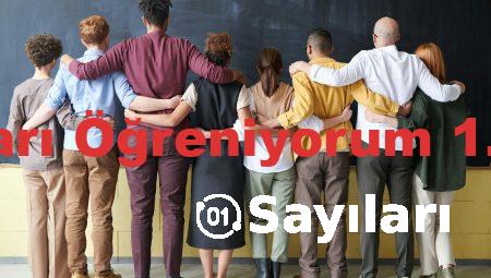 Sayıları Öğreniyorum 1. Sınıf