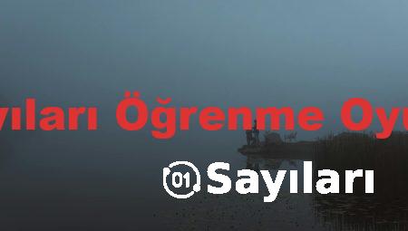 Sayıları Öğrenme Oyunu