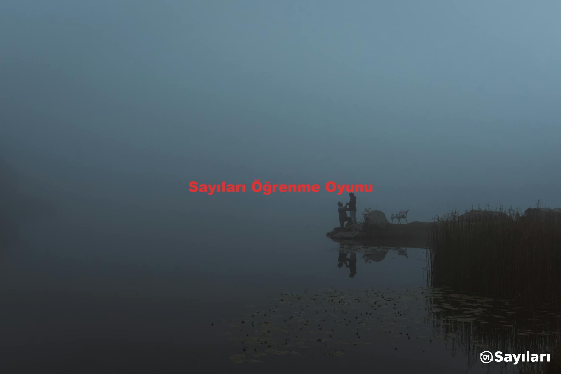 Sayıları Öğrenme Oyunu