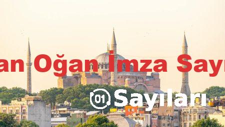 Sinan Oğan İmza Sayıları