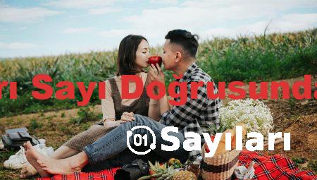 Tam Sayıları Sayı Doğrusunda Gösterme