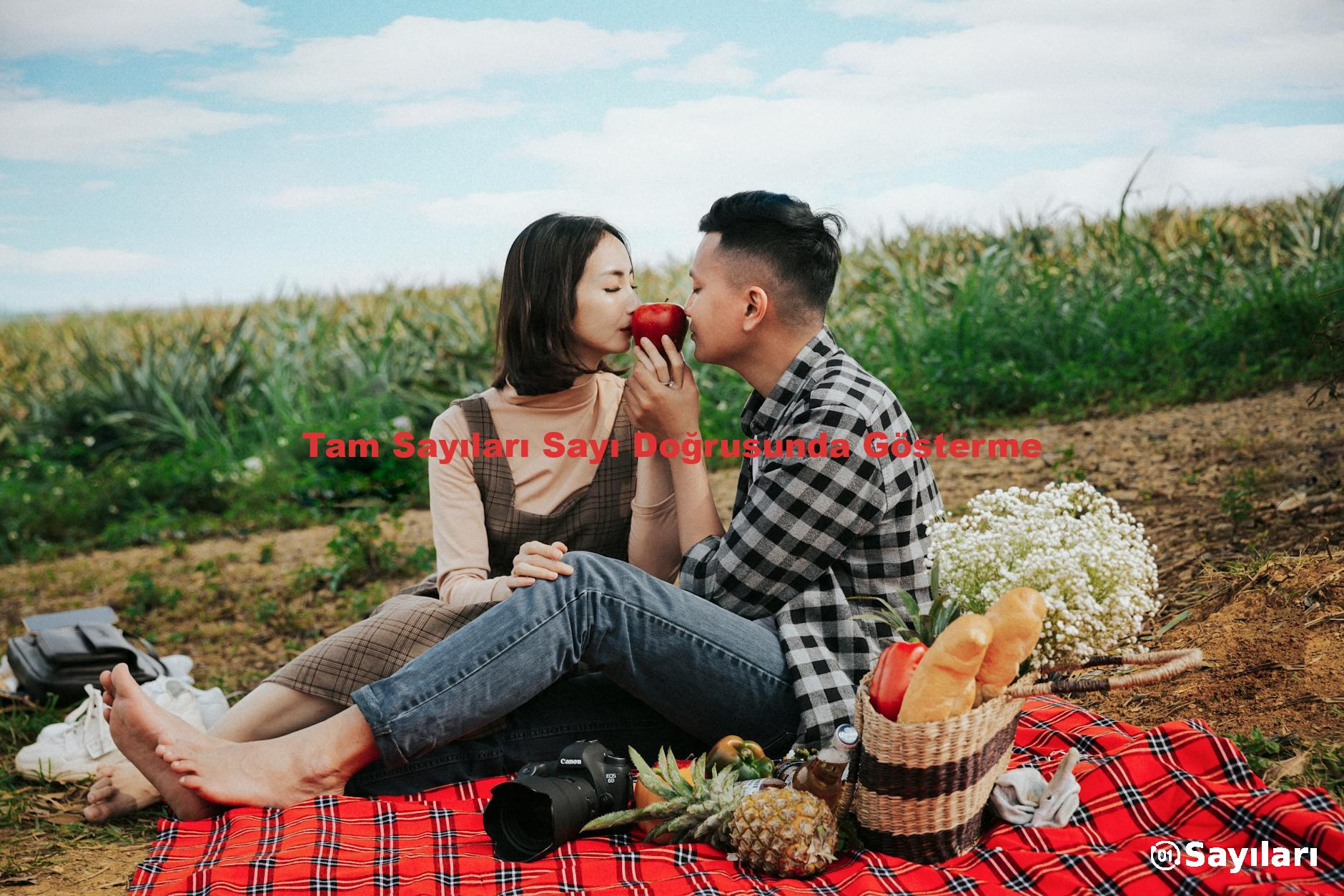 Tam Sayıları Sayı Doğrusunda Gösterme