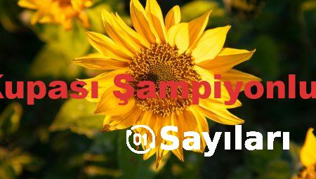 Türkiye Kupası Şampiyonluk Sayıları
