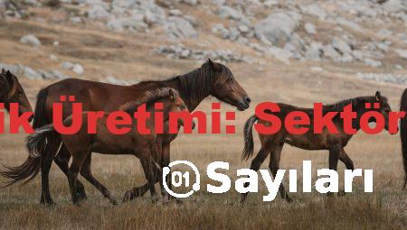 Fason Kozmetik Üretimi: Sektördeki Yenilikler