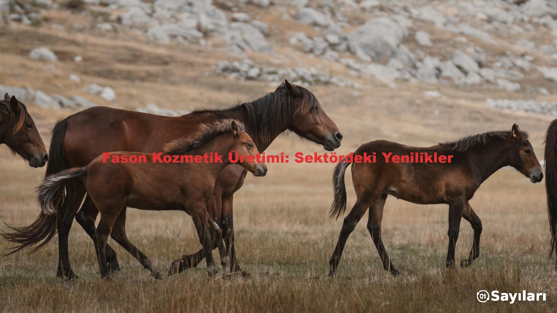 Fason Kozmetik Üretimi: Sektördeki Yenilikler