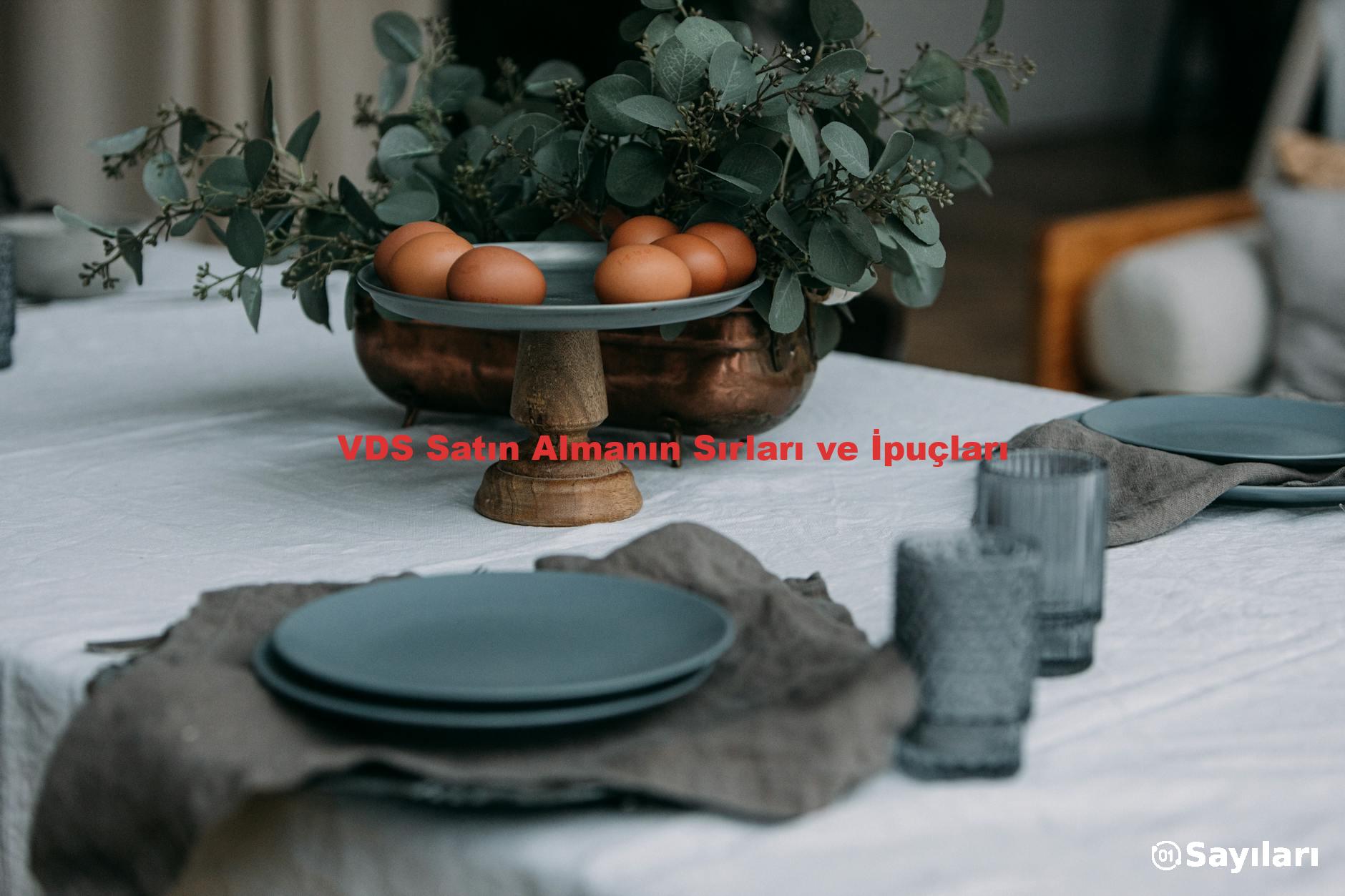 VDS Satın Almanın Sırları ve İpuçları