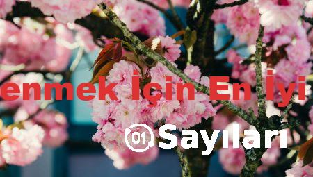 Almanca Öğrenmek İçin En İyi Uygulamalar