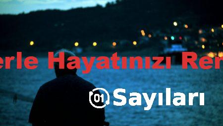 Tavsiyelerle Hayatınızı Renklendirin