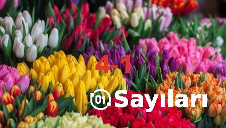 Çiçekler ve Mutluluk: Bursa’da Nasıl Bir Etki Yaratır?