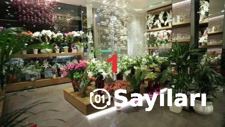 Güvenilir Çiçek Siteleri Arasında Floksia’nın Yeri